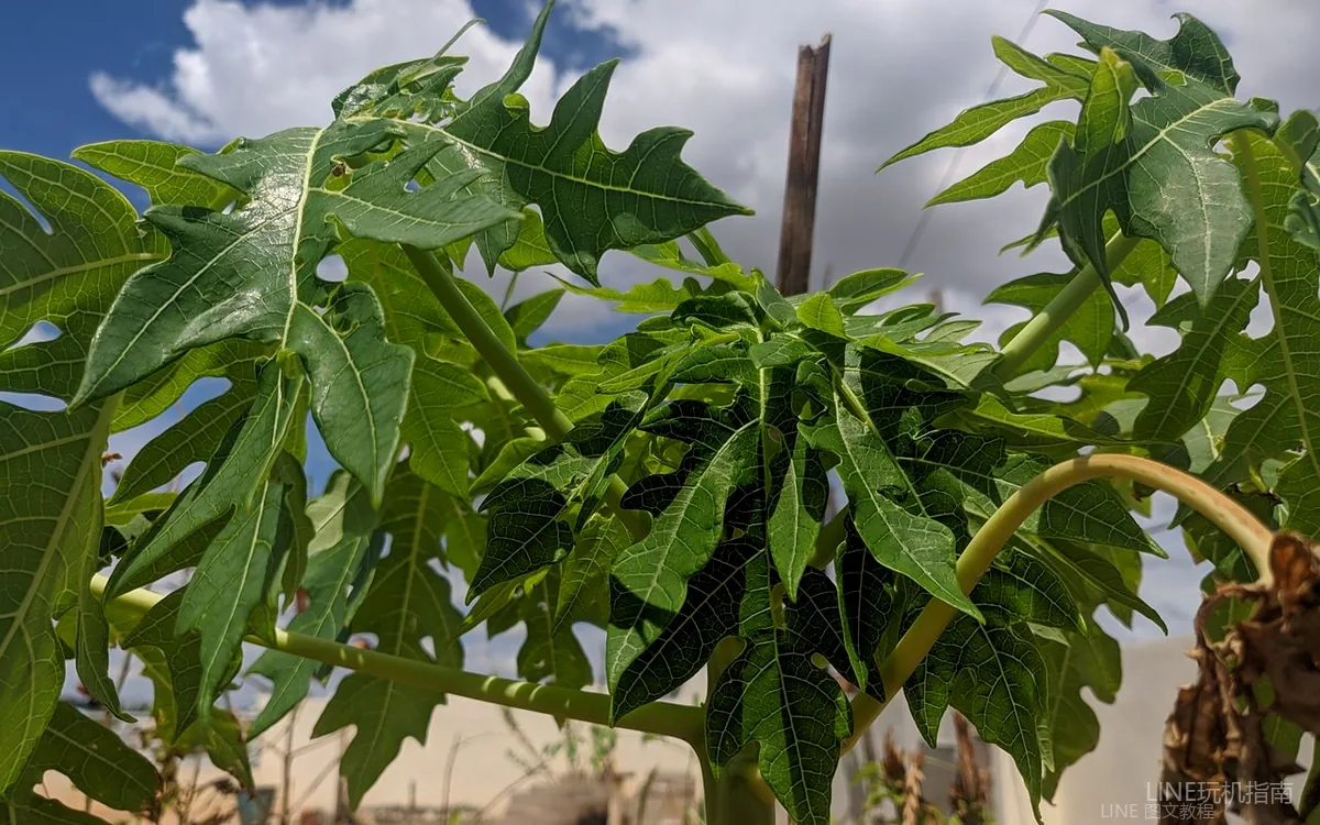 社群规则:群规怎么定相关场景